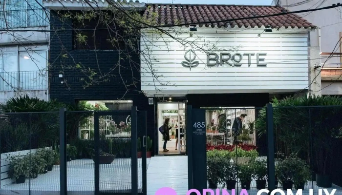 BRōTE - 11300 Montevideo