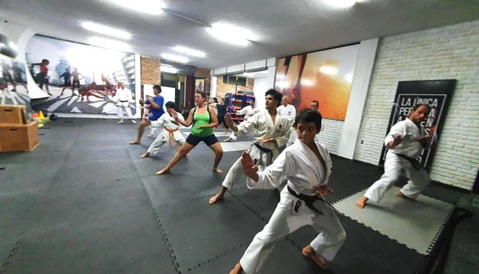 Budokan Dojo Jka Salto -  Del Propietario - Salto