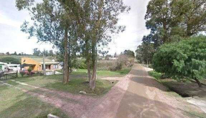 Budokan Dojo Shinshukan Opiniones - Pajas Blancas