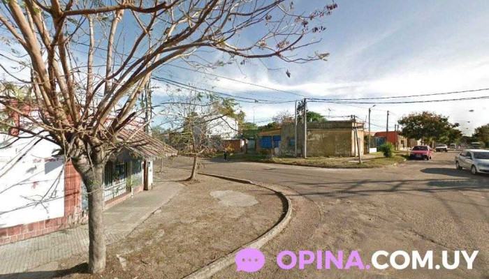 Buena Fé Distribuciones - 50000 Salto