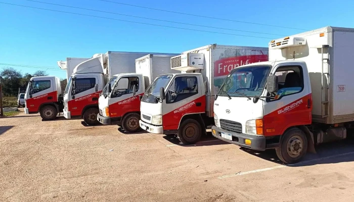 Buenimar Mercedes Distribuciones - 75000 Mercedes