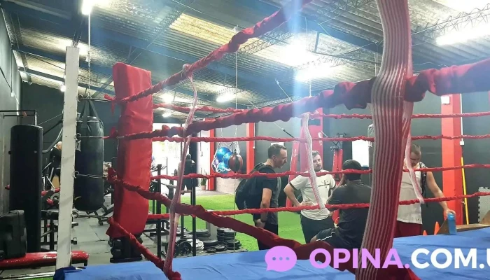 Bullsgym Arte Marciales Mixtas Boxeo - Montevideo