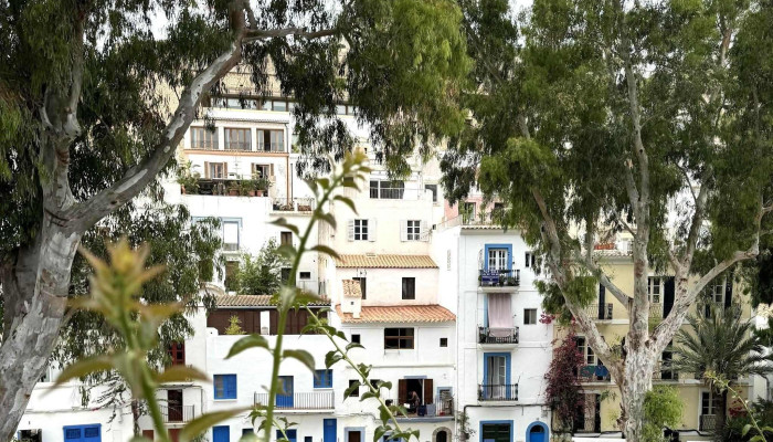 Buysan Propiedades -  Ubicacion - Montevideo