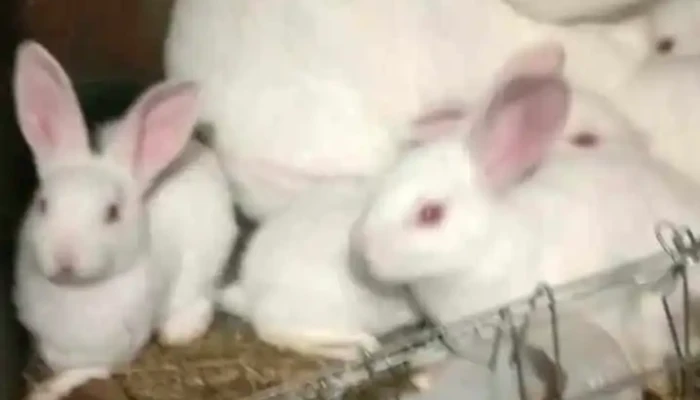 Cabana Eden Sudec Numero 558 Del Propietario - Las Piedras