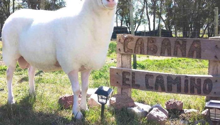 Cabana El Camino Cabra - Canelones