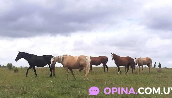 Cabana La Bruja Instagram - Casup&aacute;