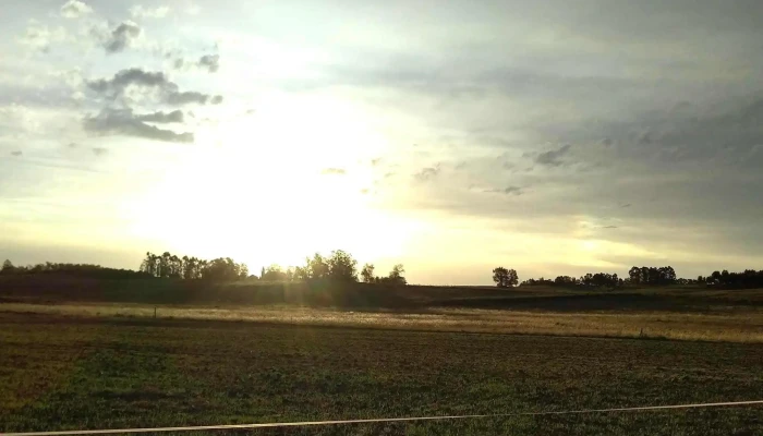 Cabaña Ñaro - Montes