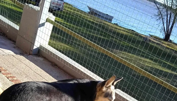 Cabanas Nuevo Berlin Catalogo - Nuevo Berlín