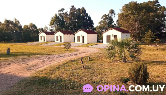 Cabañas Viñas Del Carmen - Villa Del Carmen