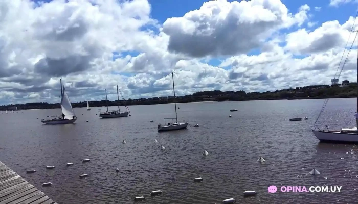 Cafe Del Muelle Videos - Cafetería