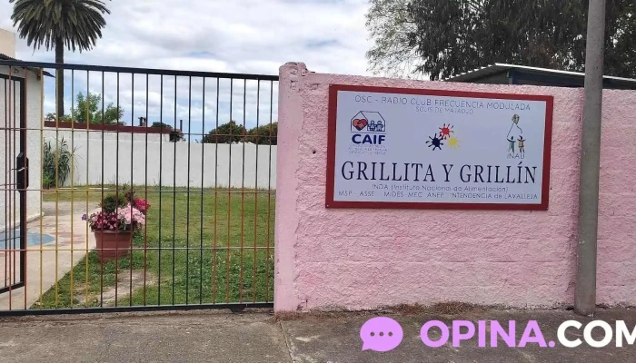 Caif Grillita Y Grillin Catalogo - Solís de Mataojo