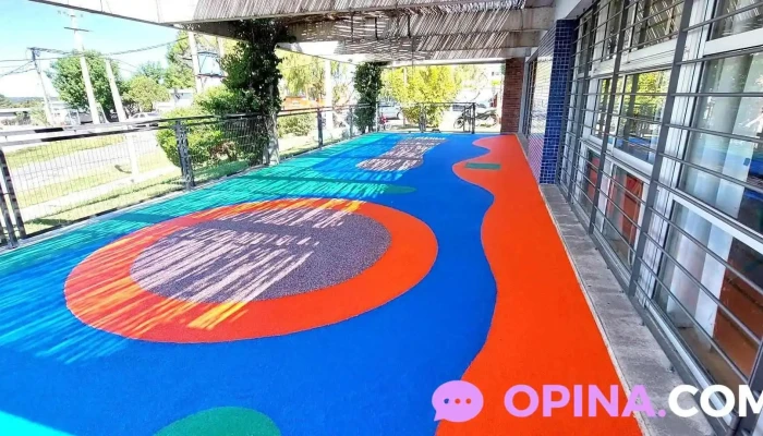 Caif Haciendo Caminos Numero - Col. del Sacramento