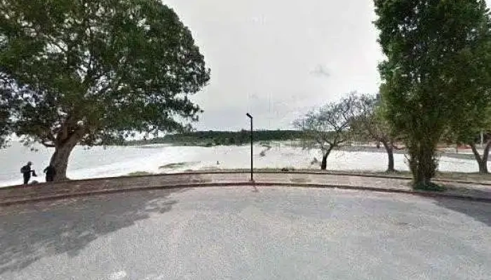 Caif Kele Kele Puntajedeg - Pajas Blancas