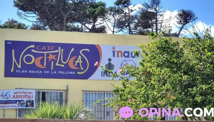 Caif Noctilucas - La Paloma