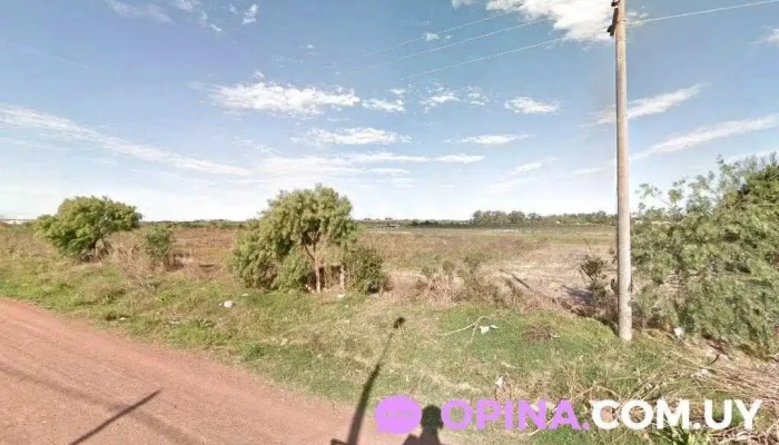 Caif Una Pindó - Nueva Palmira