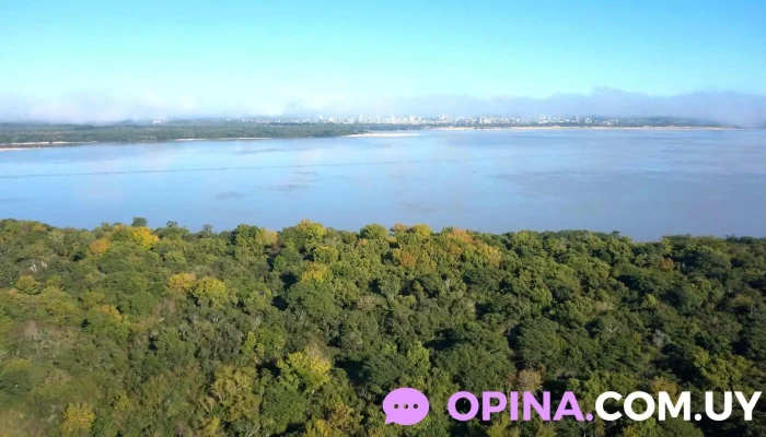 Caldeyro Victorica Bienes Raices Inmobiliaria En Montevideo Direccion - Montevideo