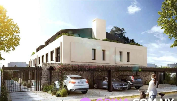 Calyptus Barra - Barra De Carrasco