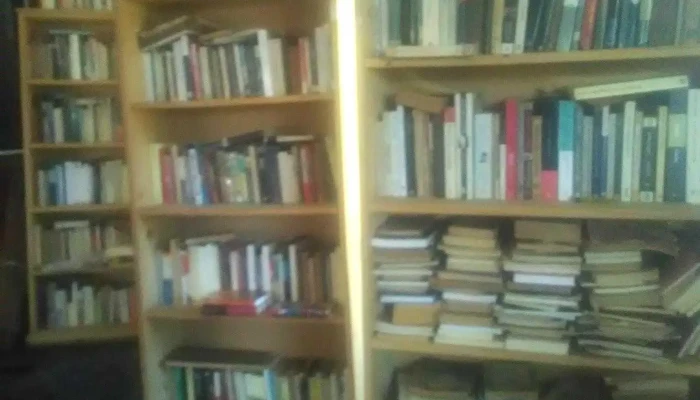 Cambalache Leonardo Librero -  Estante De Libros - Parque del Plata