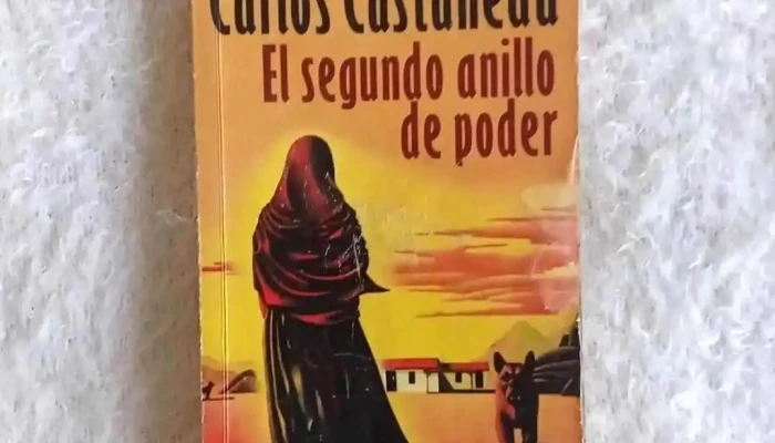 Cambalache Leonardo Librero -  Interior - Parque del Plata