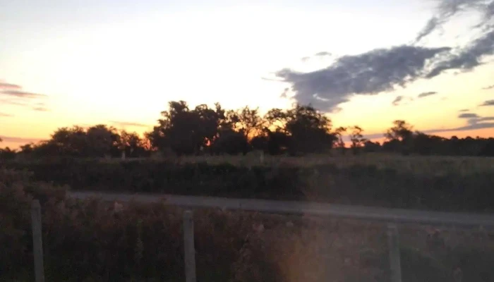 Camino - Carr Al Paso De La Cruz