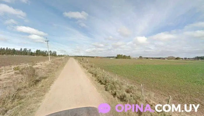 camino cipero - Progreso