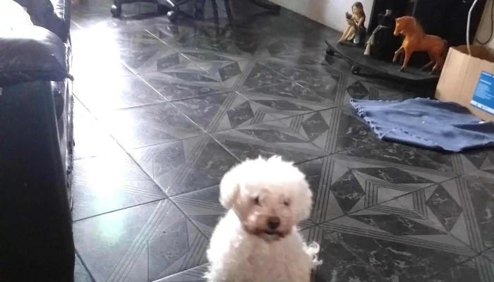 Campamento Escuela No122 De Blanes Viale - Blanes Viale