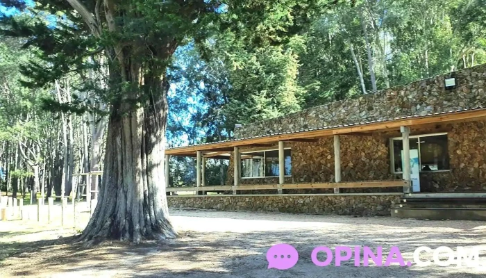 Campamento Juventus - Ruta 1 Km 61