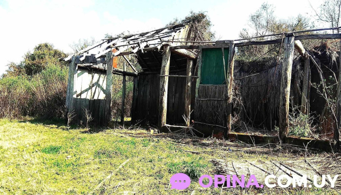 Campamento Taran - Departamento De Treinta Y Tres