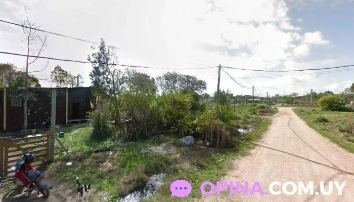 Campamentos en La Quinta - Punta Del Este