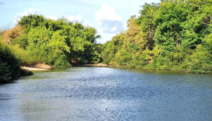 Camping Patricia - Departamento De Florida