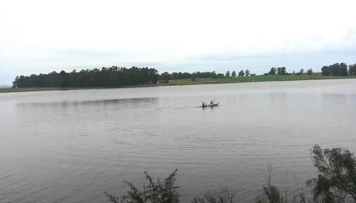 Campo Abeja Lindner -  Abierto Ahora - Montes