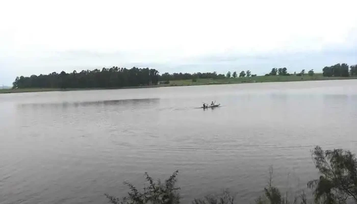 Campo Abeja Lindner - Montes