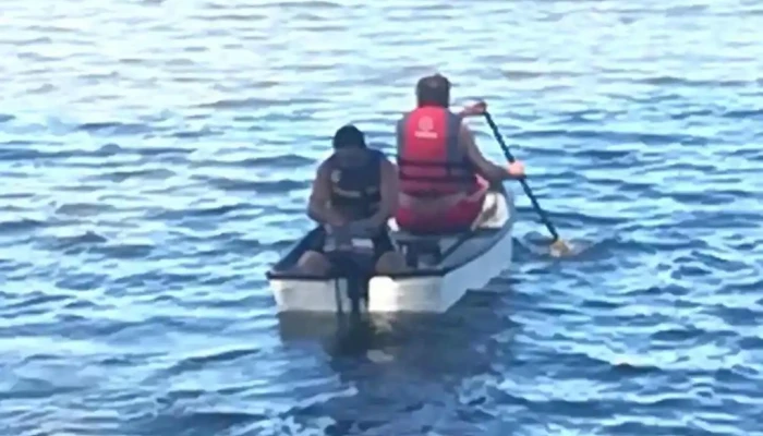 Campo Abeja Lindner -  Videos - Montes