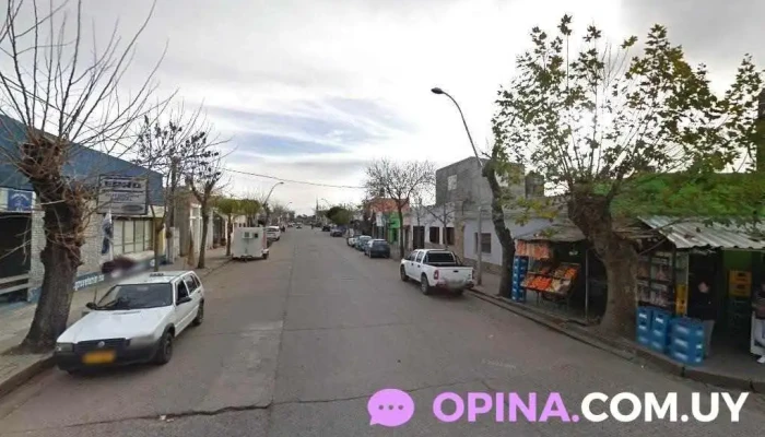 Campo Nuevo Srl - Manuel Freire