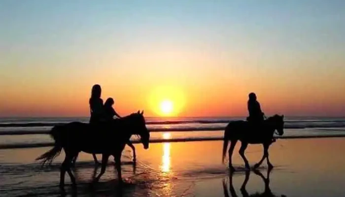 Camponet Uruguay -  Del Propietario - Rocha