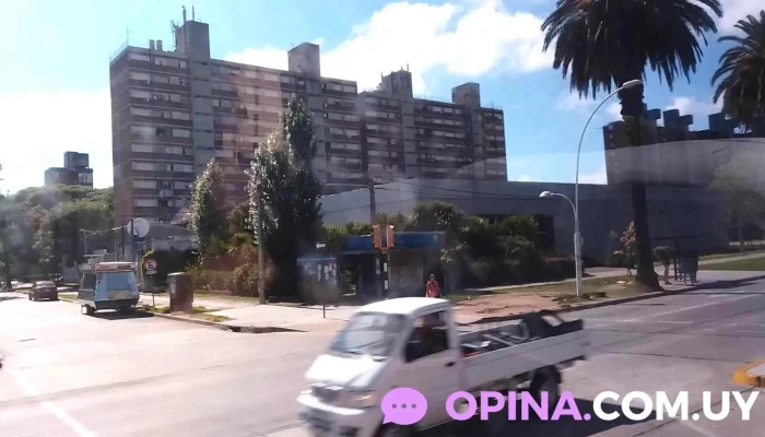 Canal 5 -    Medios Publicos Videos - Montevideo