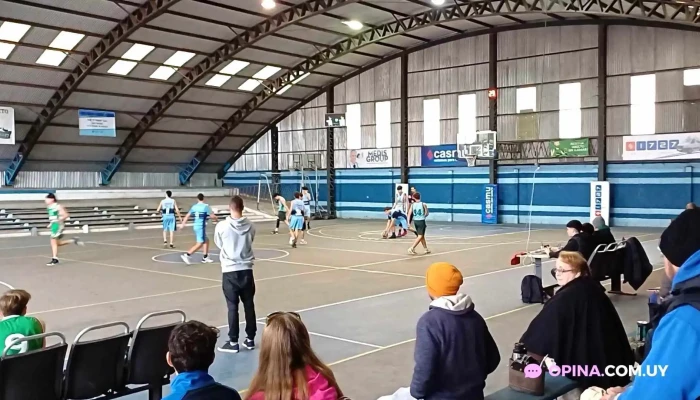 Cancha De Reducto -  Videos - Montevideo