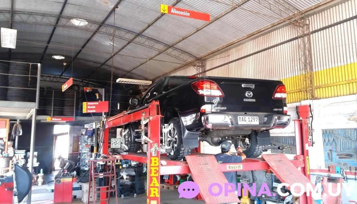 Car Shop Neumaticos - Prof. T. Mujica