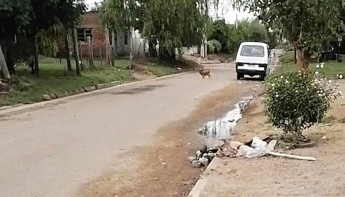 Carlos Gardel Y Espana San Jose De Mayo - San José de Mayo