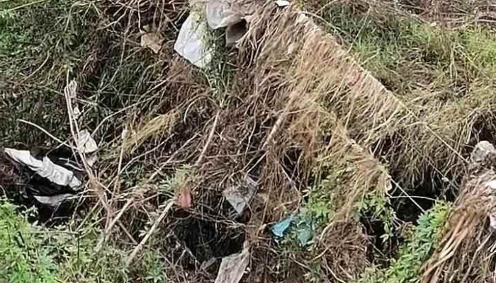 Carlos Gardel Y Espana Videos - San José de Mayo