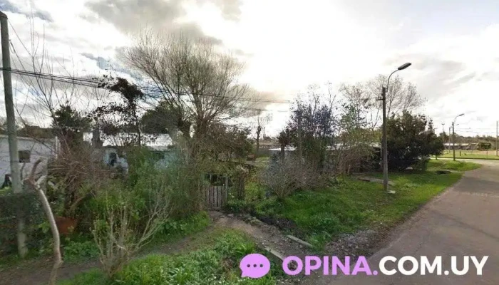 Carqueja - 13000 Montevideo