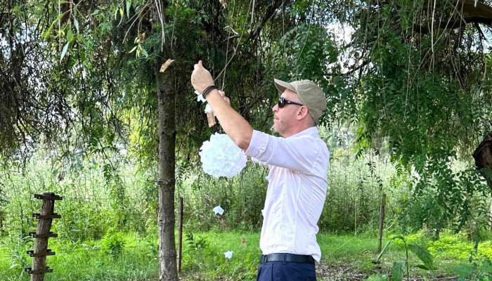 Carrasco Valley -  Montevideo - Montevideo