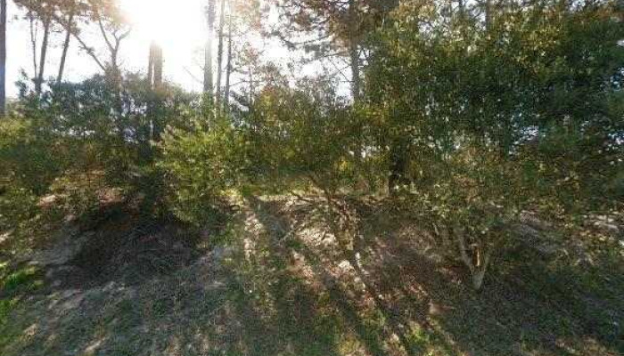 Casa Barrio Parque -  Opinionesdeg - La Paloma