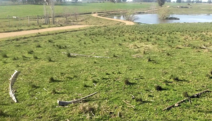 Casa De Campo La Carmela -  Fotos - Montes