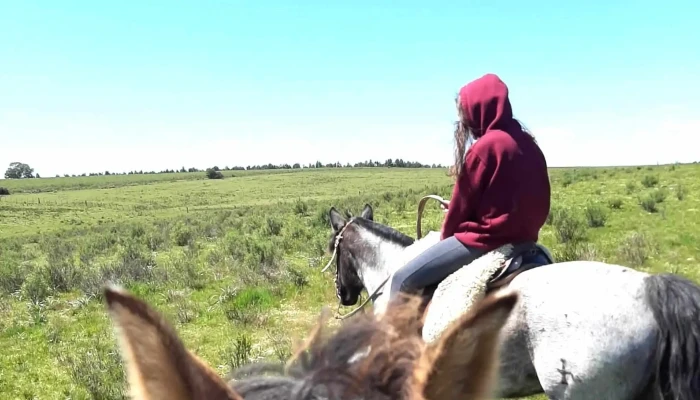 Casa De Campo La Carmela -  Instagram - Montes