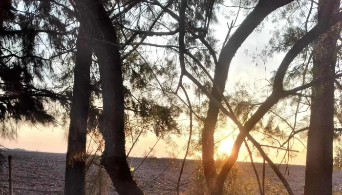 Casa De Campo La Carmela -  Numero - Montes