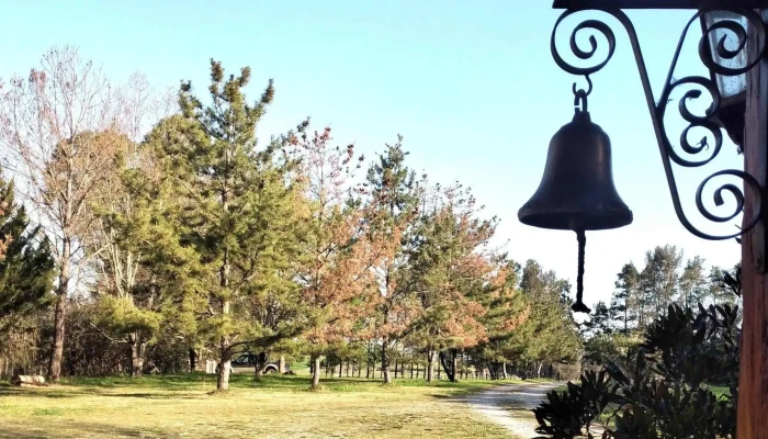 Casa De Campo La Carmela -  Opiniones - Montes