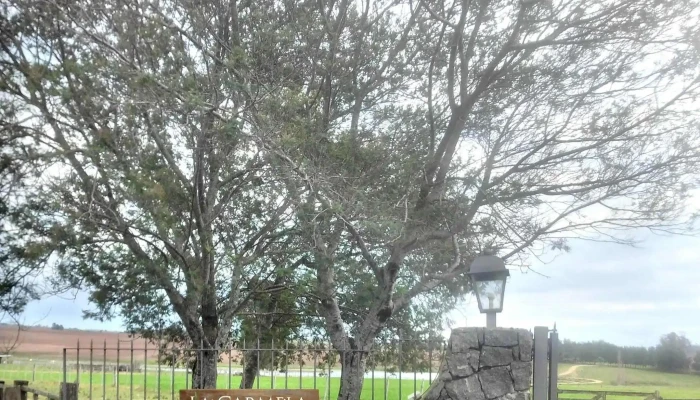 Casa De Campo La Carmela -  Videos - Montes