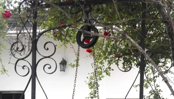 Casa De La Cultura Intendencia Municipal De San Jose Catalogo - San José de Mayo