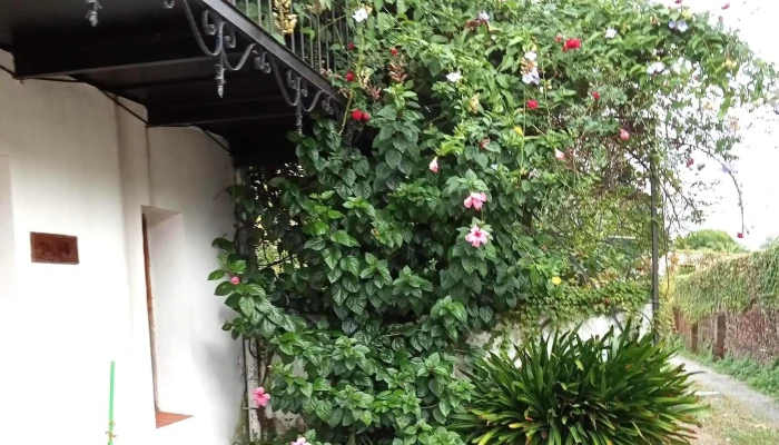 Casa De La Cultura Intendencia Municipal De San Jose Promocion - San José de Mayo